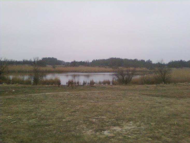 Підстепне з panoramio.com - Подстепное