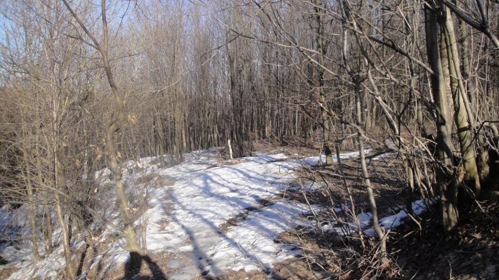 Вапнярка з panoramio.com - Вапнярка