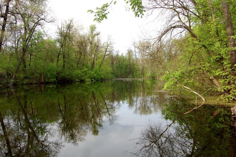 Білогорівка з panoramio.com - Белогоровка