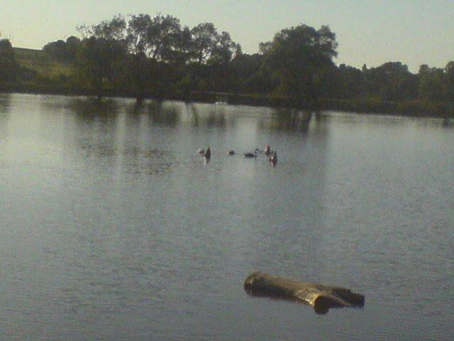 Лисогірка з panoramio.com - Лысогорка