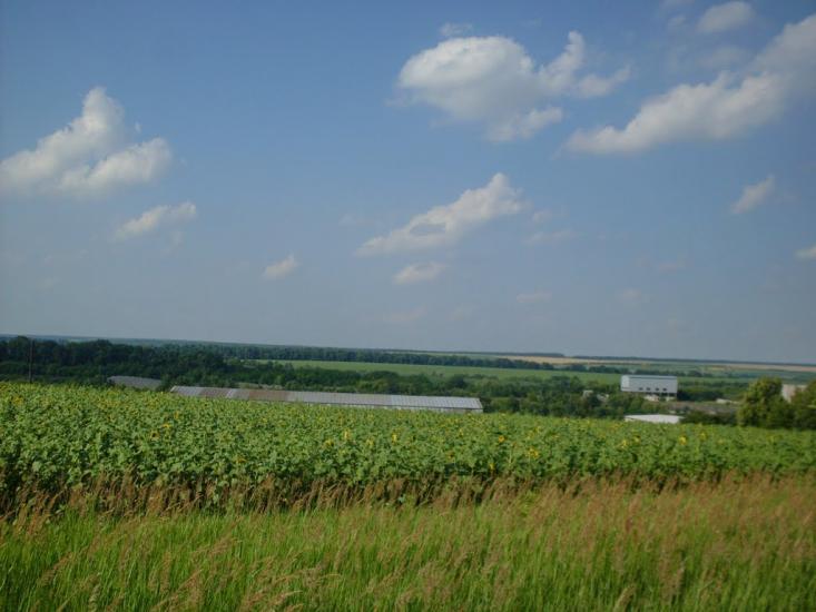 Четвертинівка з panoramio.com - Четвертиновка