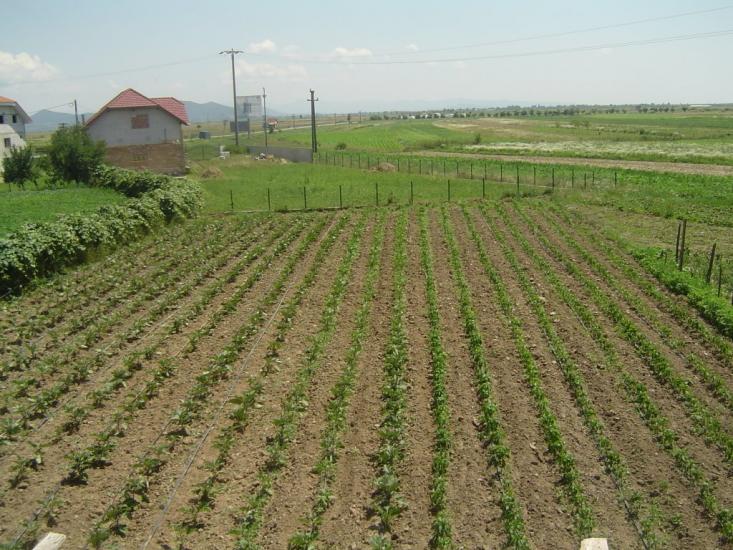 Оклі з panoramio.com - Оклі