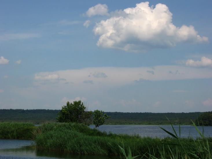 Івано-Франкове з panoramio.com - Ивано-Франково