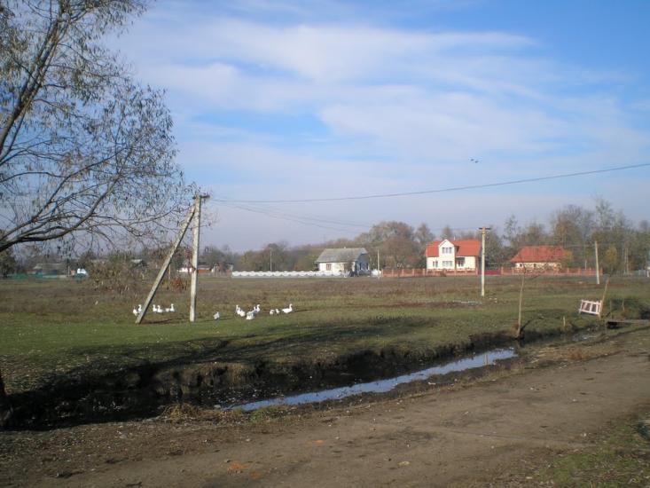 Негівці з panoramio.com - Негівці