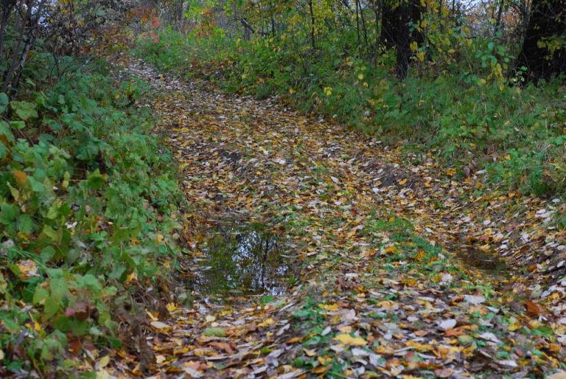 Остапівка з panoramio.com - Остаповка