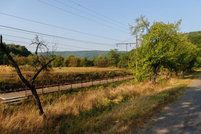 Забрідь з panoramio.com - Zabrid