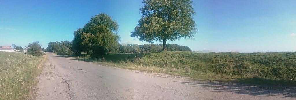 Погірці з panoramio.com - Pogirtsi