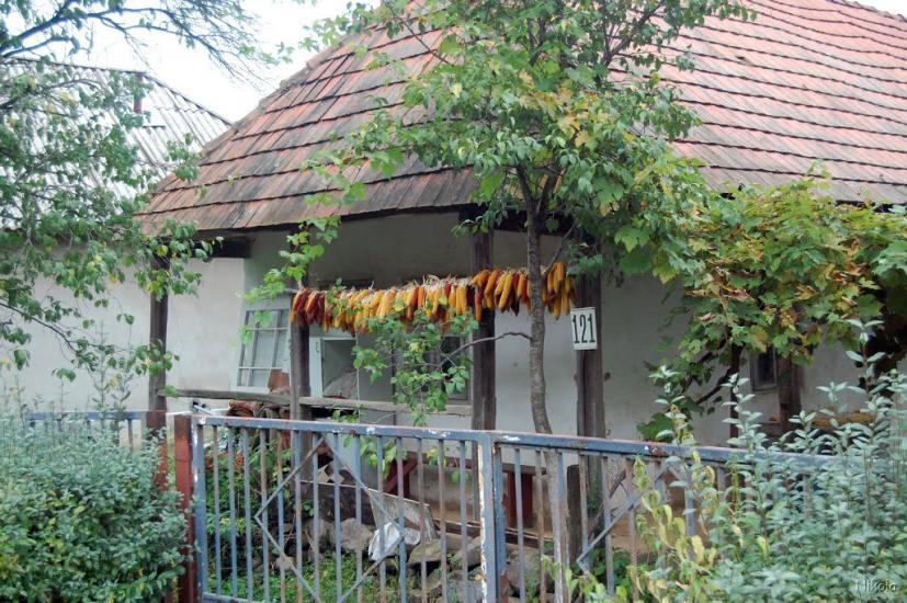 Нижнє Солотвино з panoramio.com - Нижнее Солотвино