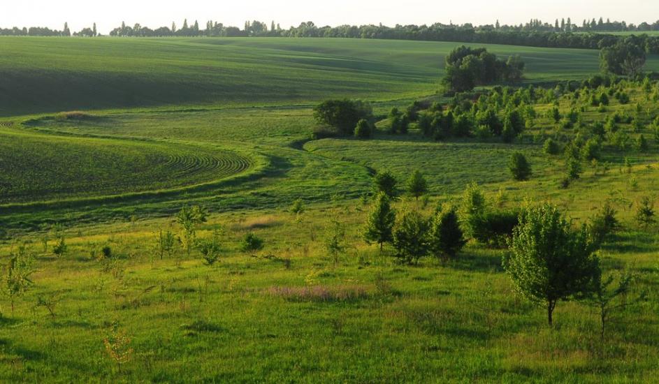 Затиша з panoramio.com - Затиша