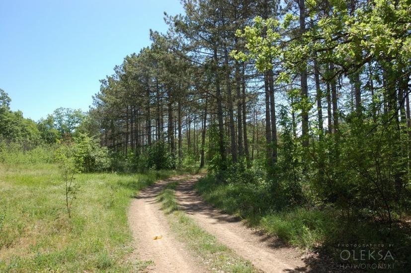 Долинне з panoramio.com - Dolynne