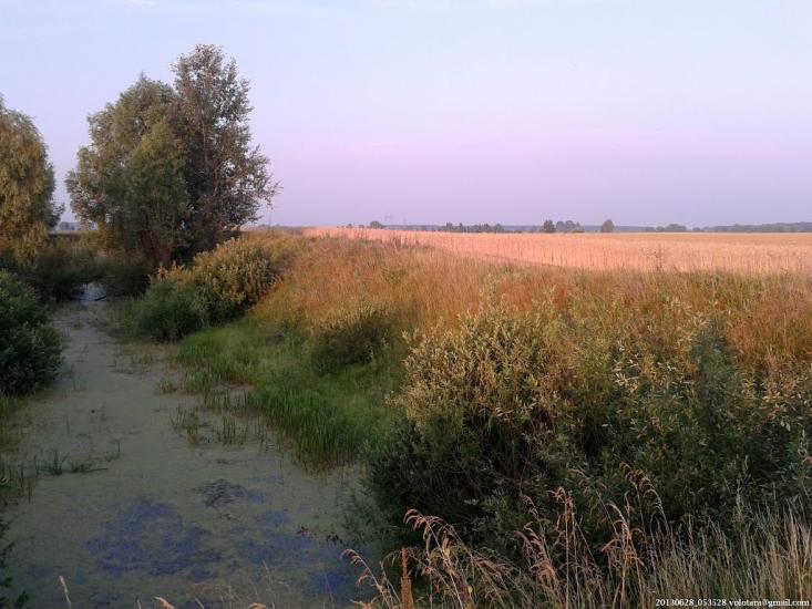 Бурківка з panoramio.com - Бурківка