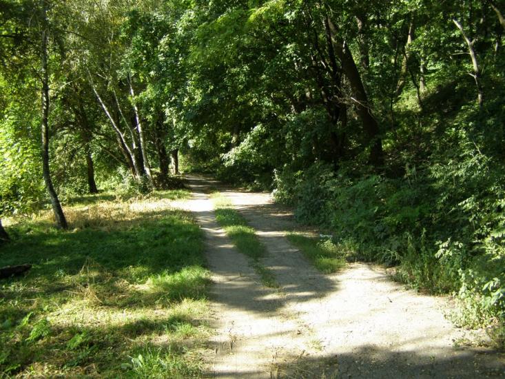 Кагарлик з panoramio.com - Кагарлик