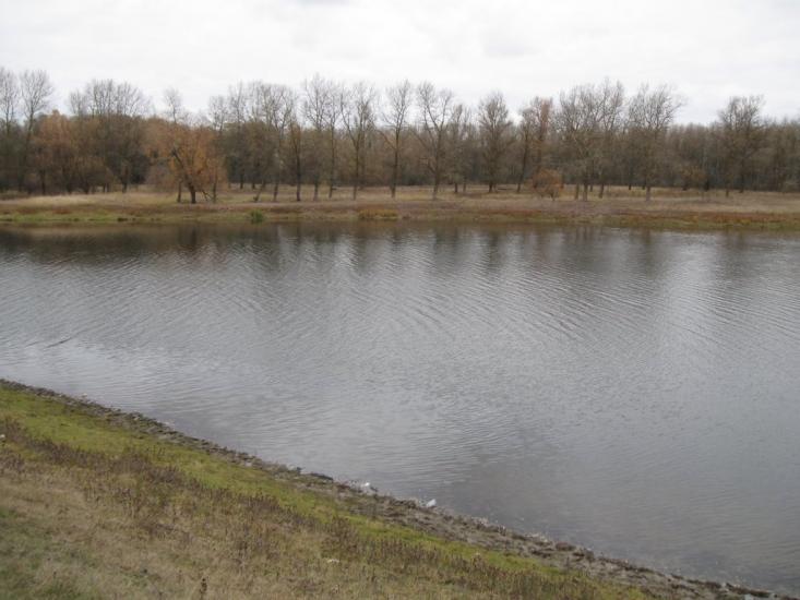 Брусилів з panoramio.com - Брусилов