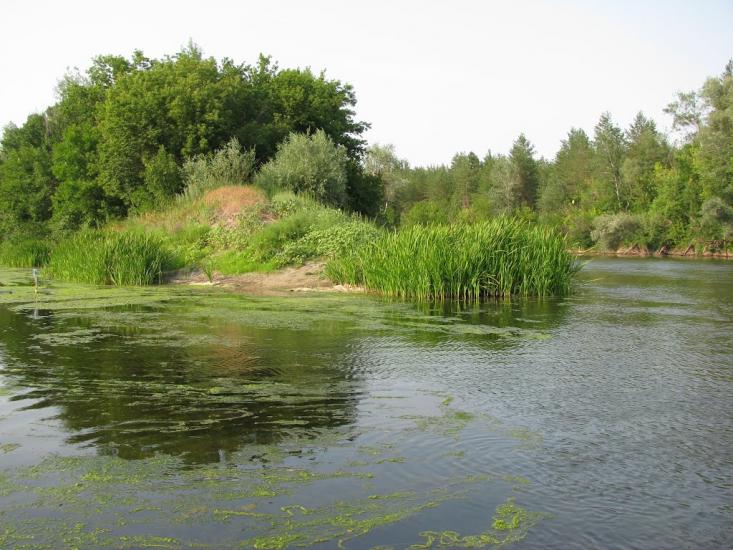 Піщане з panoramio.com - Pischane
