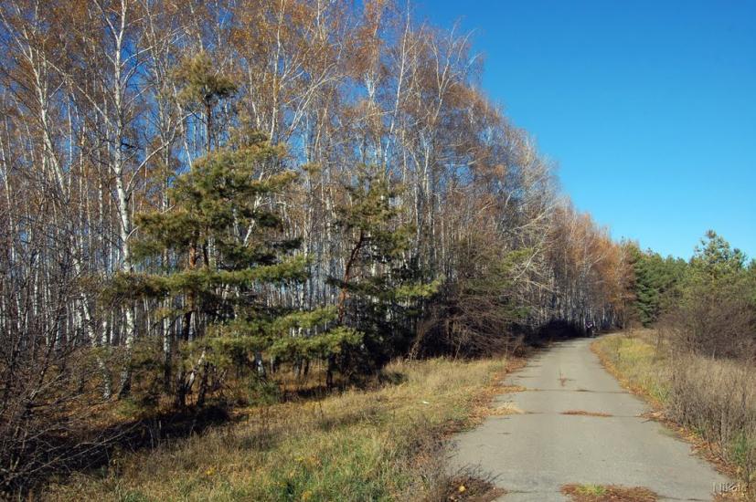 Осколонівка з panoramio.com - Осколонівка