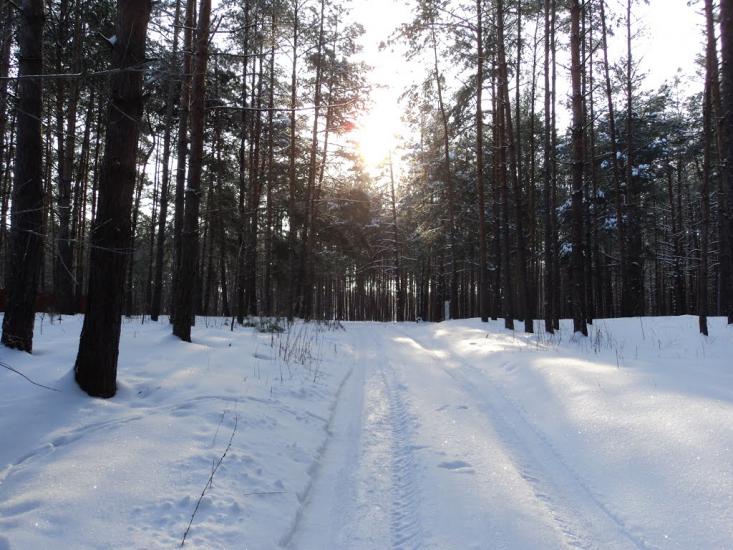 Проців з panoramio.com - Protsiv