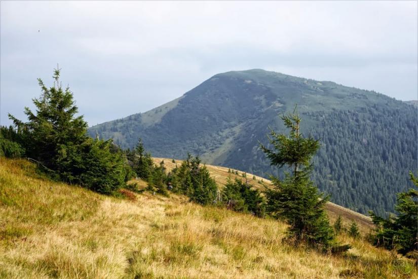 Береги з panoramio.com - Береги