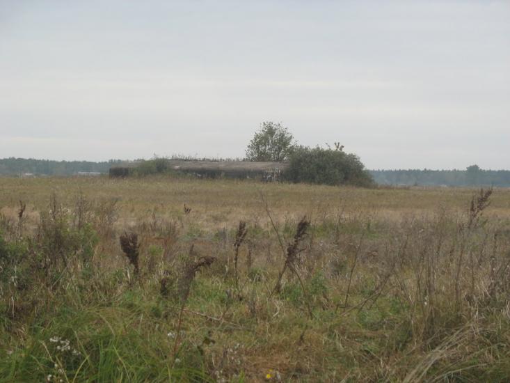 Тихе з panoramio.com - Тихе