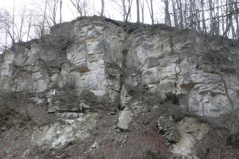 Розділ з panoramio.com - Роздол