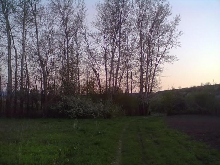 Мала Нехвороща з panoramio.com - Мала Нехвороща