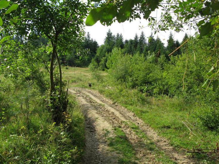 Розлуч з panoramio.com - Rozluch