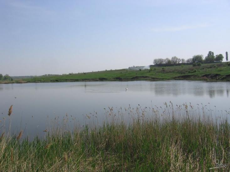 Арбузинка з panoramio.com - Арбузинка