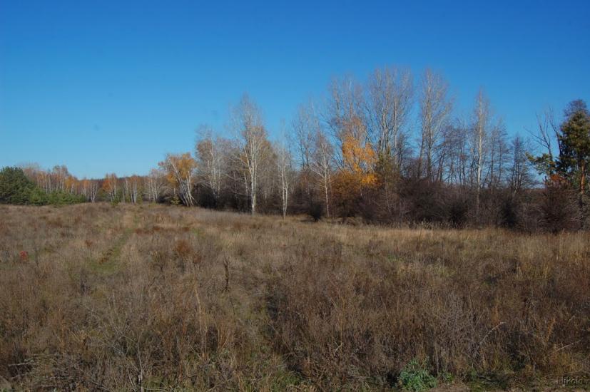Осколонівка з panoramio.com - Осколонівка