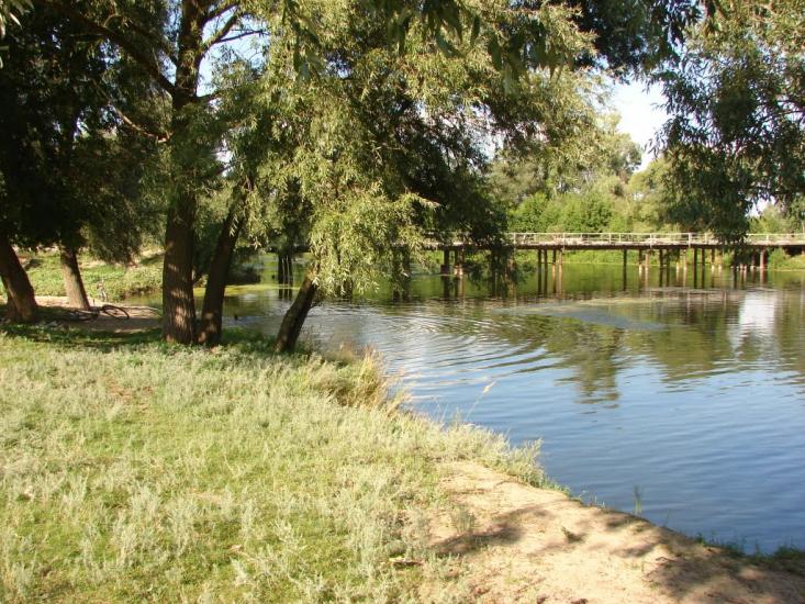 Курган з panoramio.com - Курган