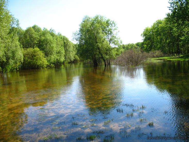 Остер з panoramio.com - Остер