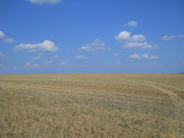 Кошляки з panoramio.com - Кошляки