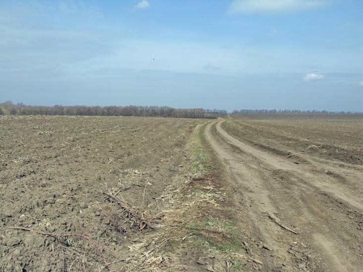 Несваткове з panoramio.com - Nesvatkove
