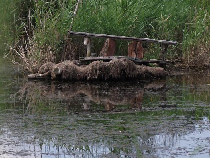 Розаліївка з panoramio.com - Розаліївка