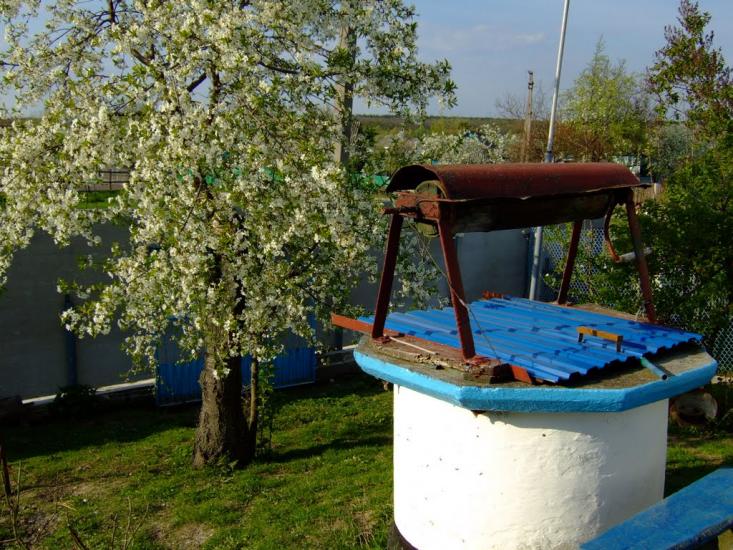 Пугачівка з panoramio.com - Пугачовка