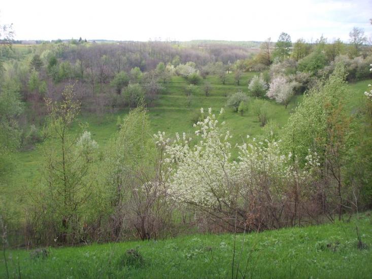 Набережне з panoramio.com - Набережное