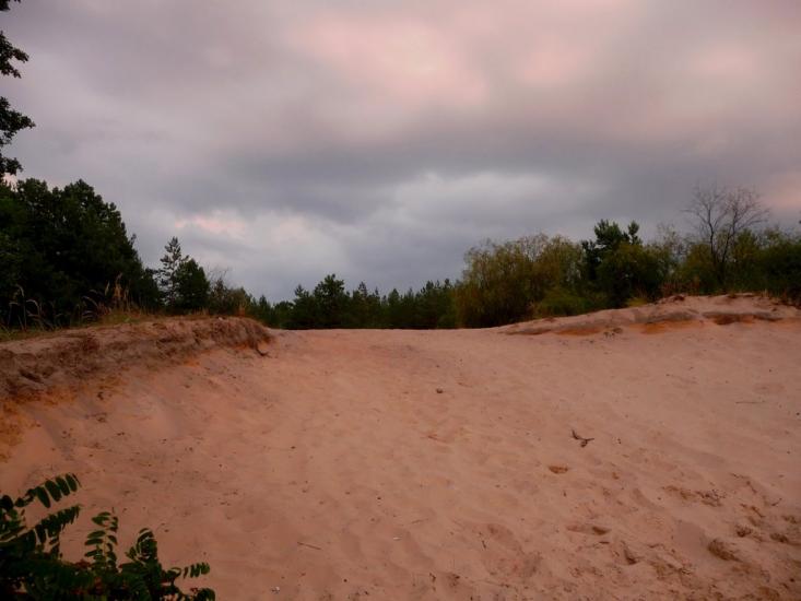 Ровжі з panoramio.com - Ровжи