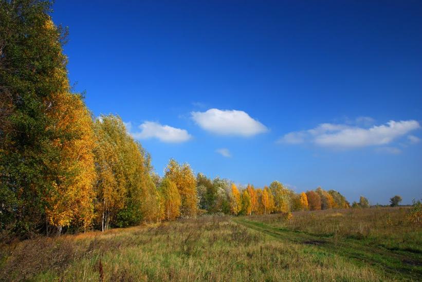 Вітрівка з panoramio.com - Vitrivka