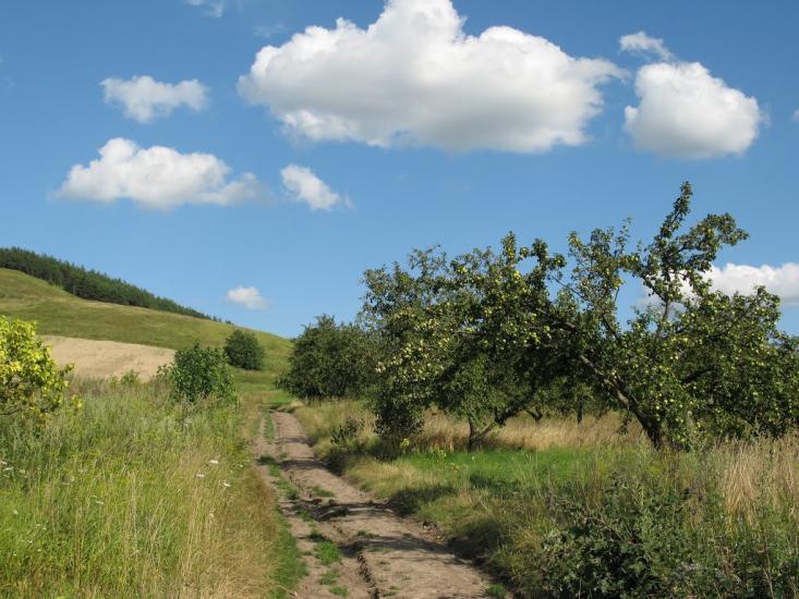 Шопки з panoramio.com - Шопки