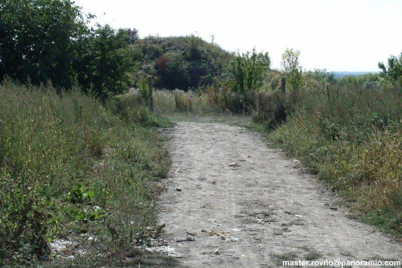 Привільне з panoramio.com - Привільне