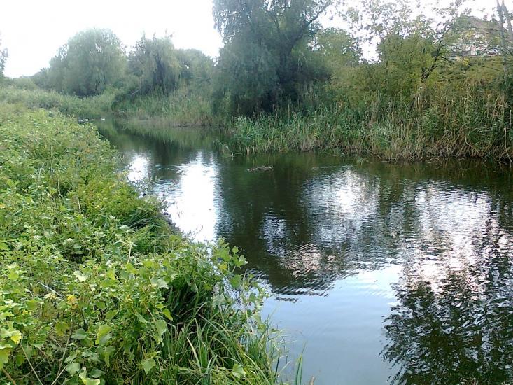 Кутузівка з panoramio.com - Кутузівка