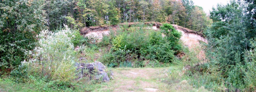 Головчинці з panoramio.com - Головчинцы