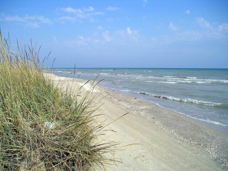 Степанівка Перша з panoramio.com - Степанівка Перша