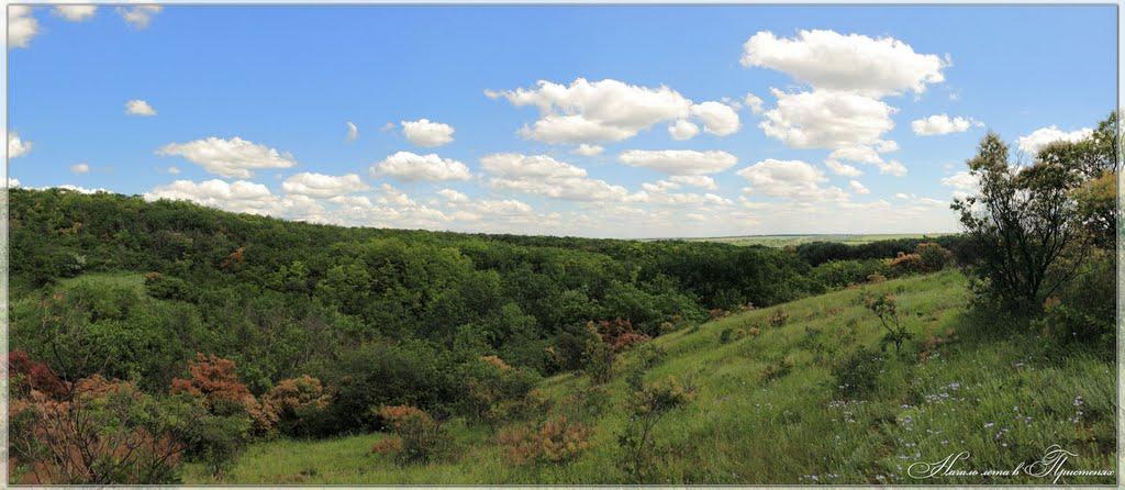 Приморське з panoramio.com - Приморское