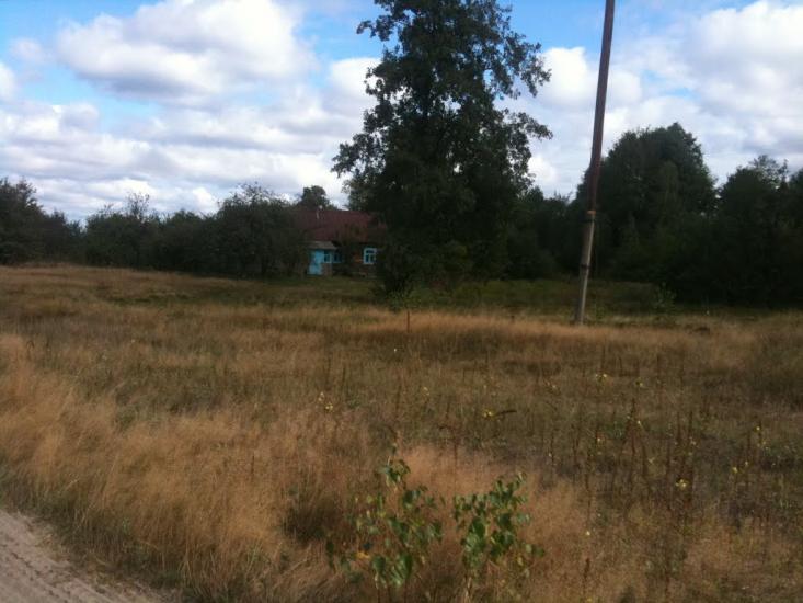 Волиця з panoramio.com - Волиця