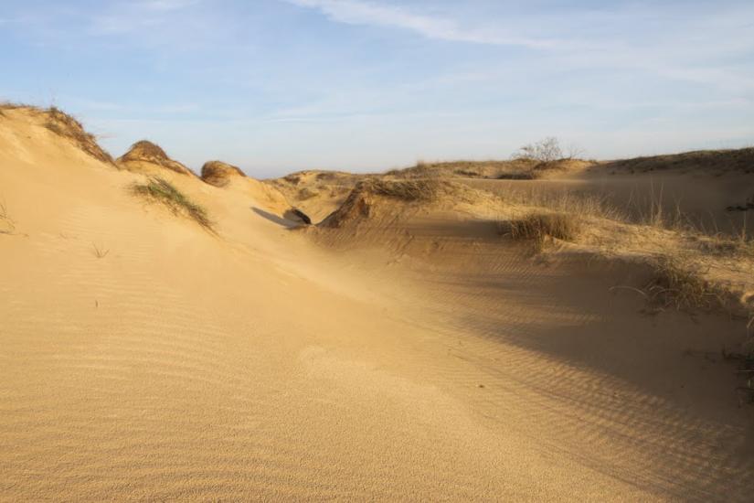 Козачі Лагері з panoramio.com - Козачие Лагеря