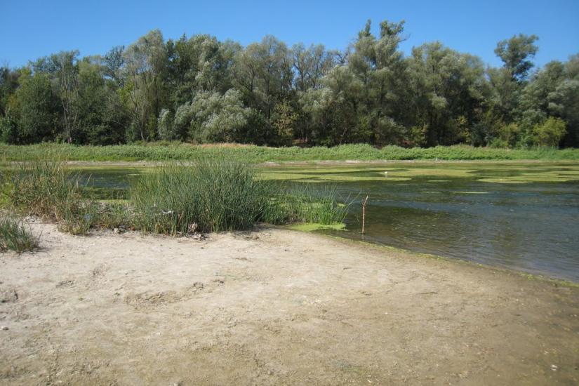 Піщане з panoramio.com - Pischane