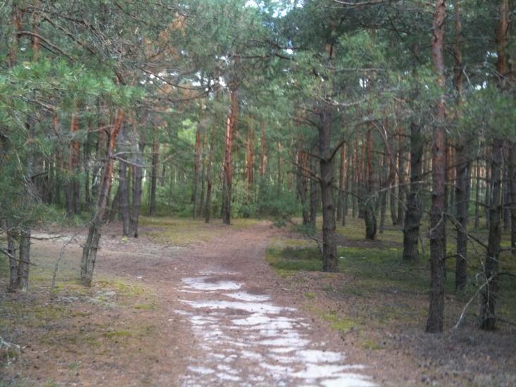 Волиця з panoramio.com - Волиця