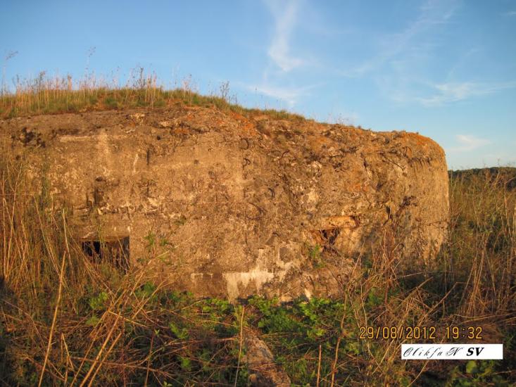 Галузинці з panoramio.com - Галузинцы