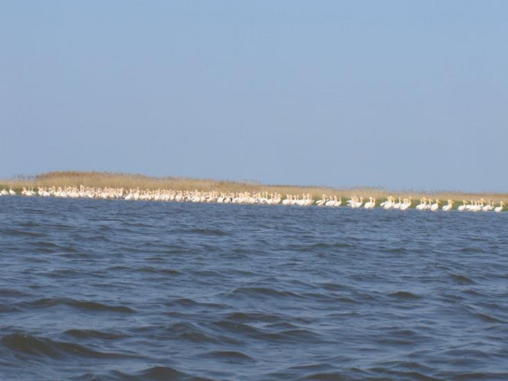 Приморське з panoramio.com - Prymorske