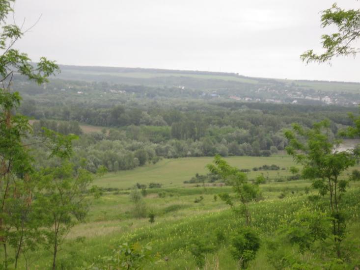 Подвір'ївка з panoramio.com - Подворьевка