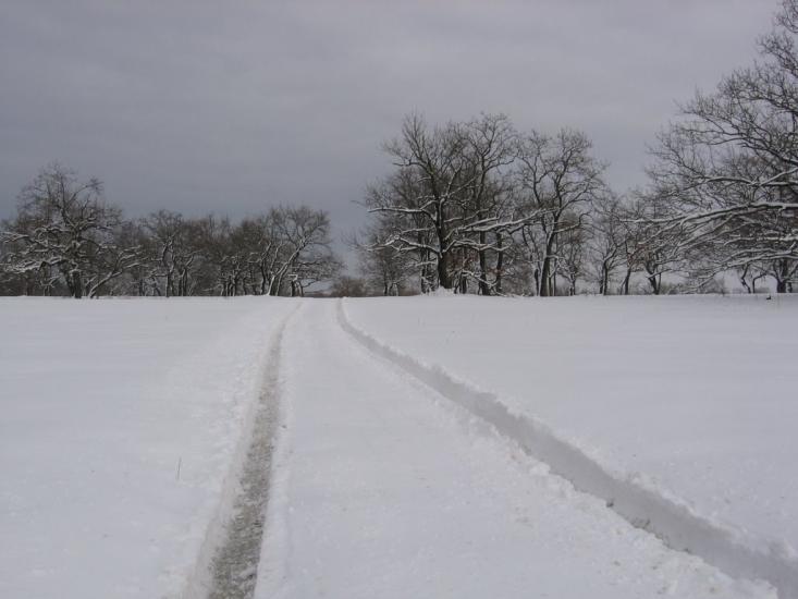 Романків з panoramio.com - Романков